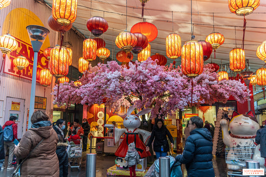 Visite à pied de Chinatown (25/10 - 9h00 à 11h30 ou 14h00 à 16h30)